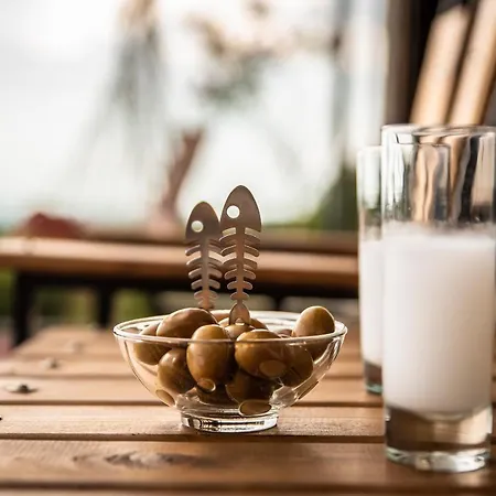 펜션 λωτοσ 카발라