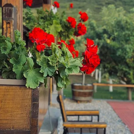 λωτοσ 펜션 카발라