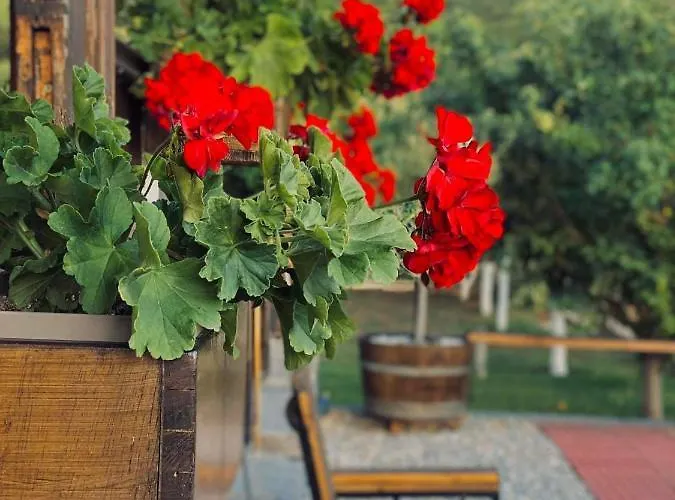 λωτοσ Case de vacanță Kavala